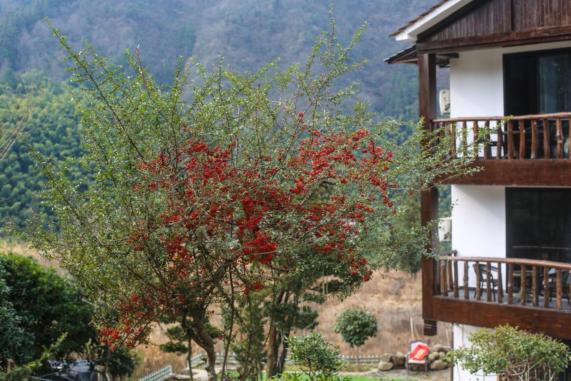 Zhangjiajie Mountainside ภายนอก รูปภาพ
